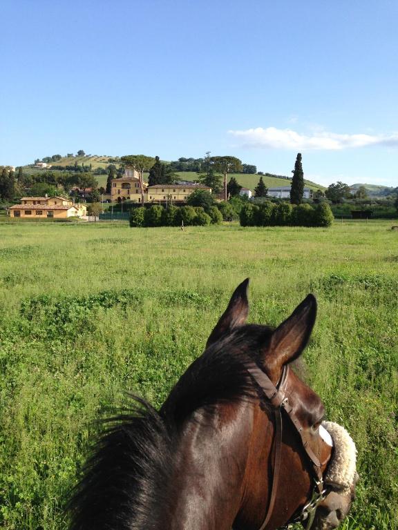 Agriturismo Villa Irelli Castellalto Εξωτερικό φωτογραφία